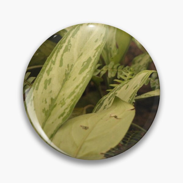 Item preview, Nature Photography designed and sold by guenscomics.