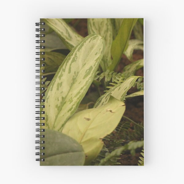 Artikelvorschau, Naturfotografie entworfen und verkauft von guenscomics.
