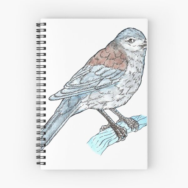Item preview, Grey Shrike Thrush designed and sold by bangart.