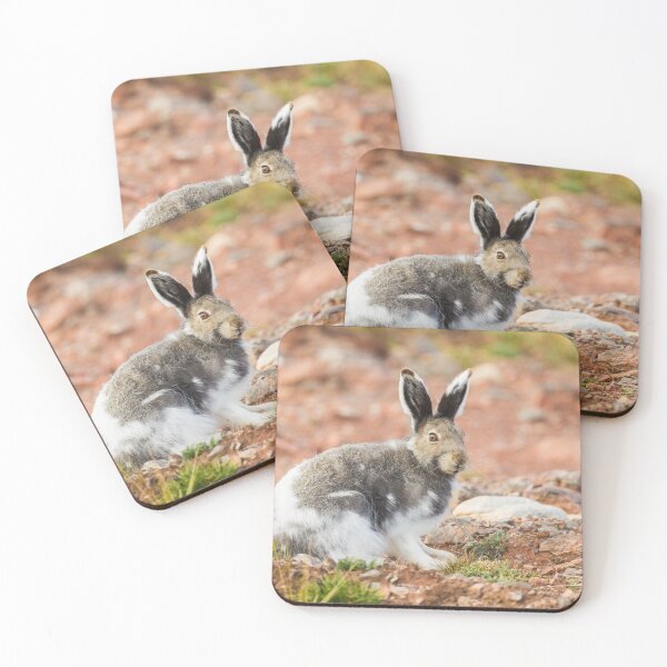 Item preview, Arctic Hare designed and sold by Jukka Jantunen.