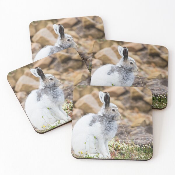 Item preview, Arctic Hare designed and sold by Jukka Jantunen.