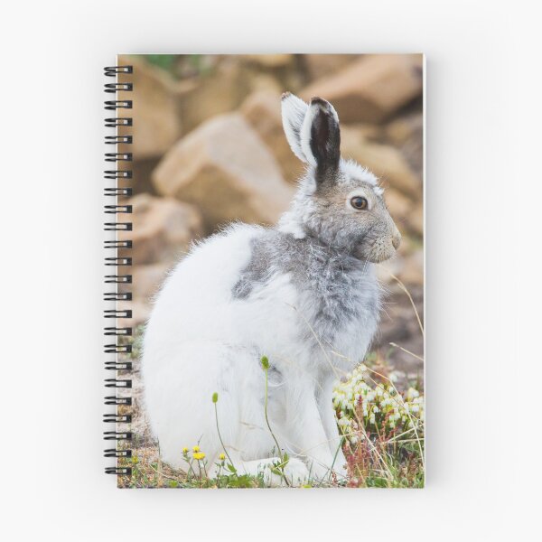 Item preview, Arctic Hare designed and sold by Jukka Jantunen.