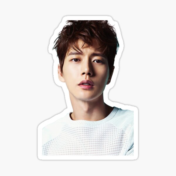 Park Hae Jin Sticker