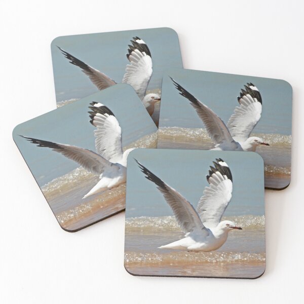 Artikelvorschau, Silver Gull ~ Up Up And Away entworfen und verkauft von Robert Elliott.