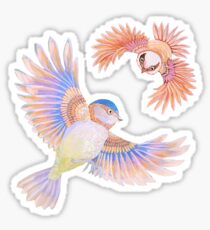 Birds of Paradise Sticker