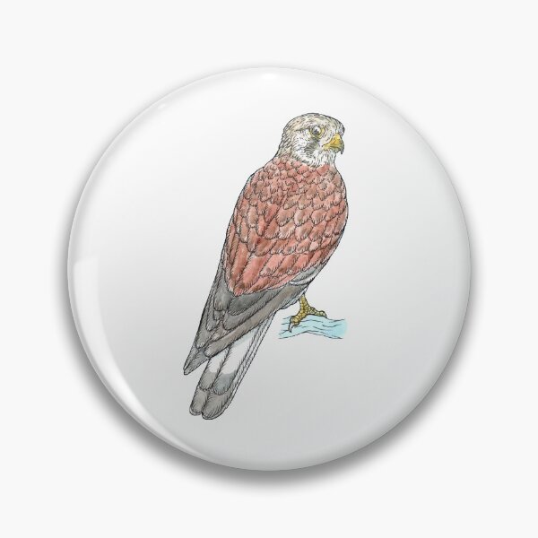 Item preview, Nankeen Kestrel designed and sold by bangart.