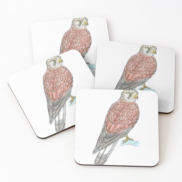 Item preview, Nankeen Kestrel designed and sold by bangart.