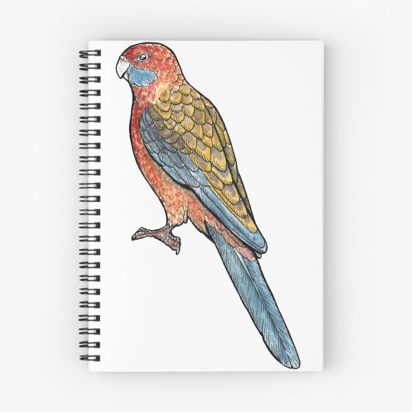 Item preview, Adelaide Rosella designed and sold by bangart.