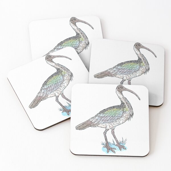 Item preview, Straw-necked Ibis designed and sold by bangart.