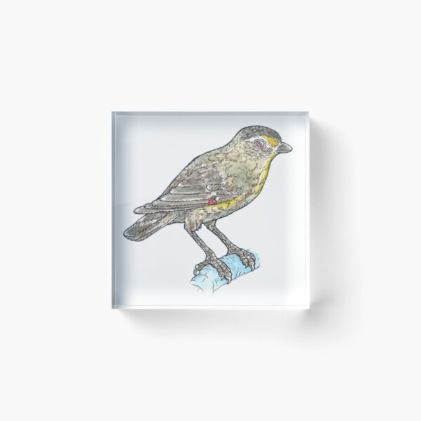Item preview, Striated Pardalote designed and sold by bangart.