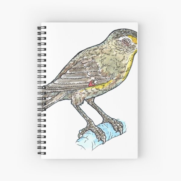 Item preview, Striated Pardalote designed and sold by bangart.