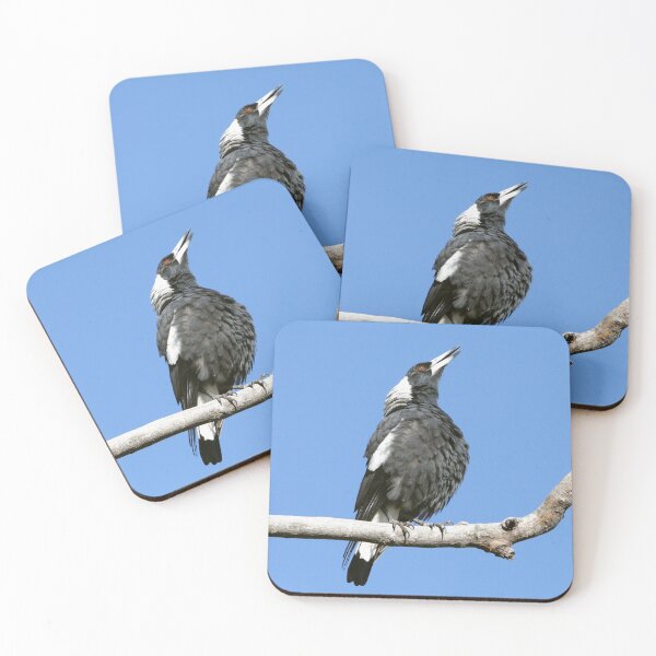 Item preview, Australian (black-backed) Magpie ~ Singing My Song  designed and sold by Robert Elliott.