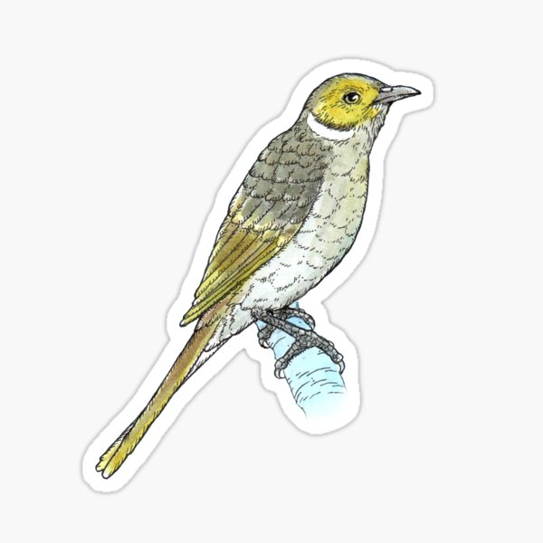 Item preview, White-plumed Honeyeater  designed and sold by bangart.