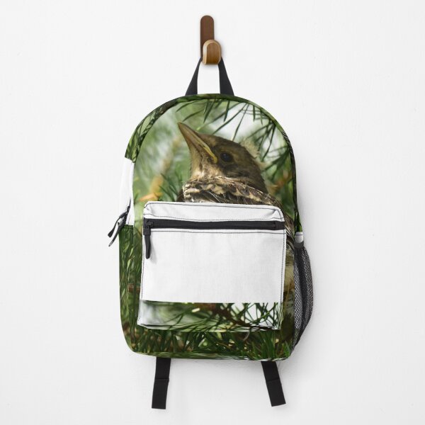Item preview, Young bird thrush in the shade of green pine branches designed and sold by yarvin13.