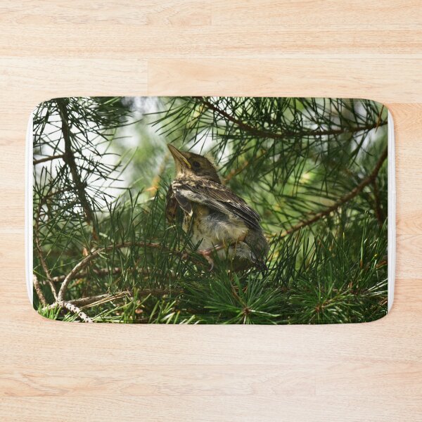 Item preview, Young bird thrush in the shade of green pine branches designed and sold by yarvin13.