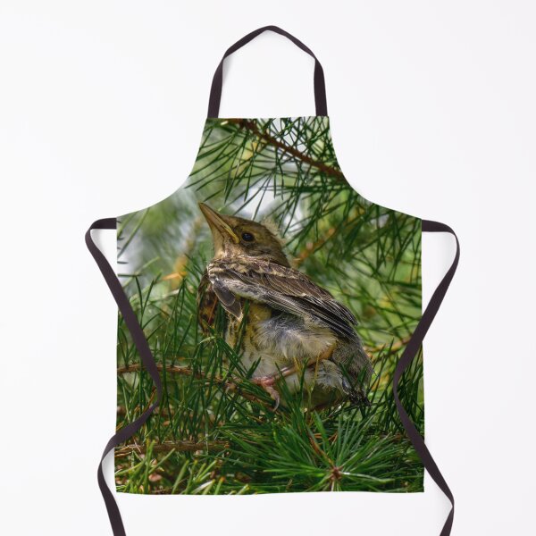 Item preview, Young bird thrush in the shade of green pine branches designed and sold by yarvin13.
