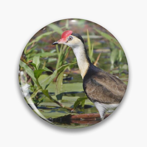 Item preview, Comb-crested Jacana designed and sold by Robert Elliott.