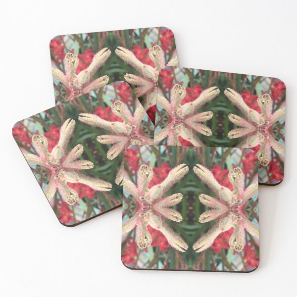 Item preview, Dancing Kangaroo Paws VIII de Criterion Street, Hobart / nipaluna, 2020 designed and sold by RoseAromas.