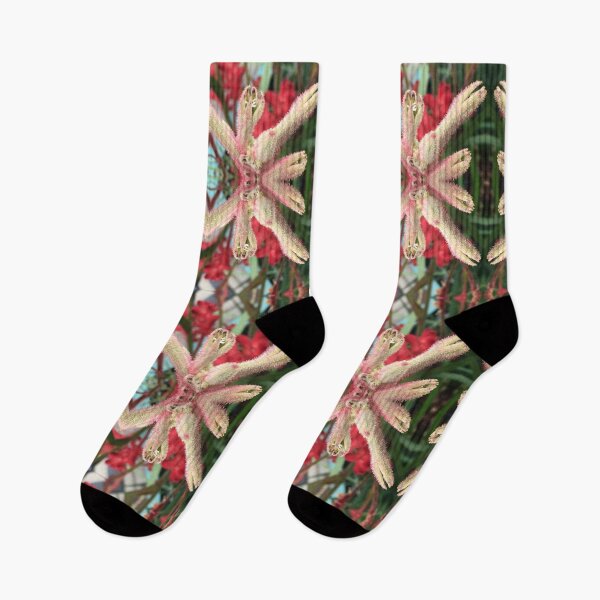 Item preview, Dancing Kangaroo Paws VIII de Criterion Street, Hobart / nipaluna, 2020 designed and sold by RoseAromas.