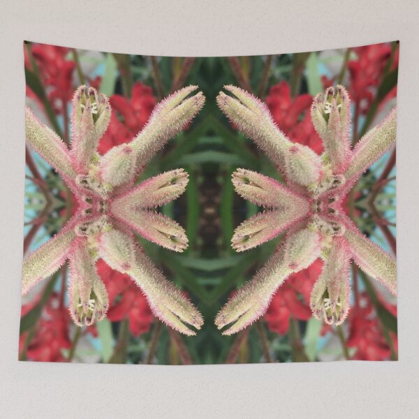 Item preview, Dancing Kangaroo Paws VIII de Criterion Street, Hobart / nipaluna, 2020 designed and sold by RoseAromas.