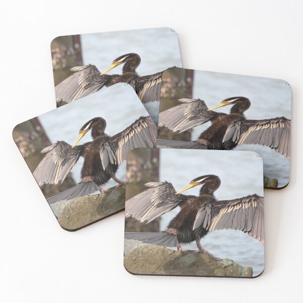 Item preview, Australian darter bird 22 designed and sold by kevin Chippindall.