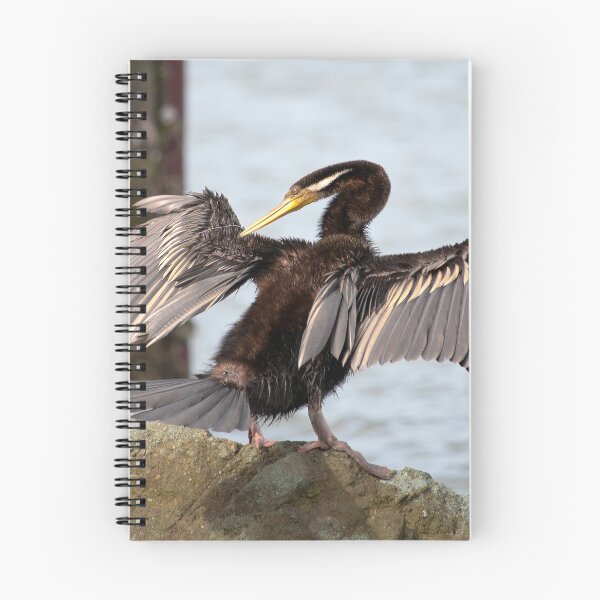 Item preview, Australian darter bird 22 designed and sold by kevin Chippindall.