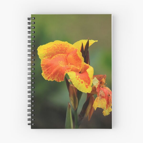 Item preview, Yellow and Orange Petals designed and sold by rhamm.