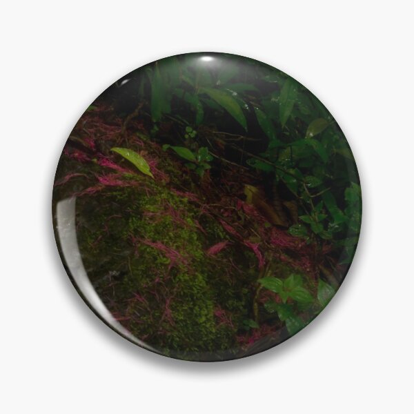Item preview, Rain forest wet landscape designed and sold by StevenElliot.