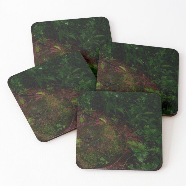 Item preview, Rain forest wet landscape designed and sold by StevenElliot.