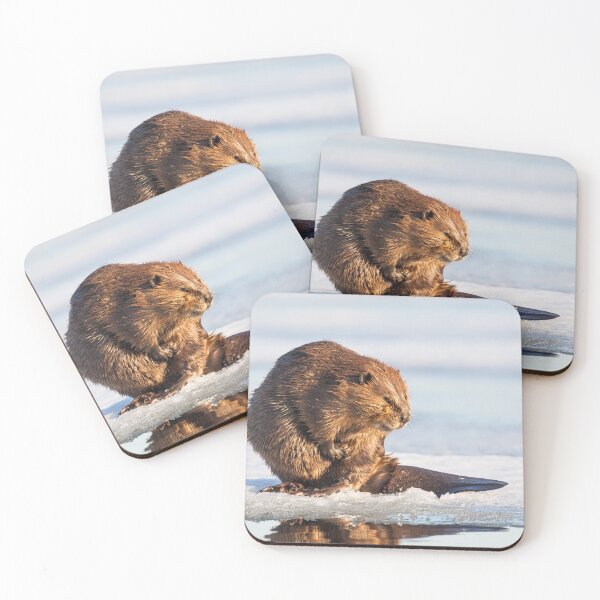 Item preview, Beaver designed and sold by Jukka Jantunen.