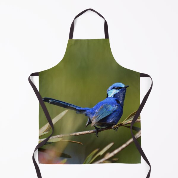 Item preview, male splendid fairywren Malurus splendens Australia bird lila blue designed and sold by Schoensl.