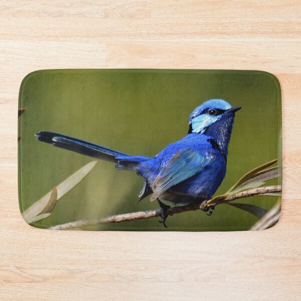 Item preview, male splendid fairywren Malurus splendens Australia bird lila blue designed and sold by Schoensl.