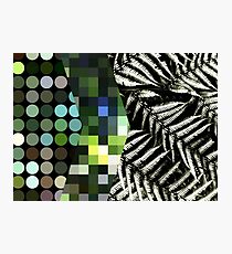 Pop Life Photographic Print