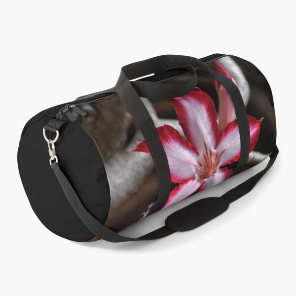 Item preview, Impala Lily Desert Rose Sabi Star South Africa  designed and sold by Schoensl.