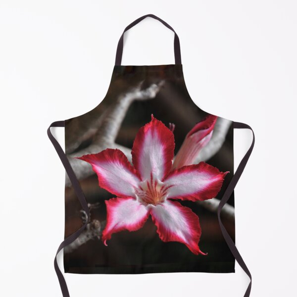 Item preview, Impala Lily Desert Rose Sabi Star South Africa  designed and sold by Schoensl.