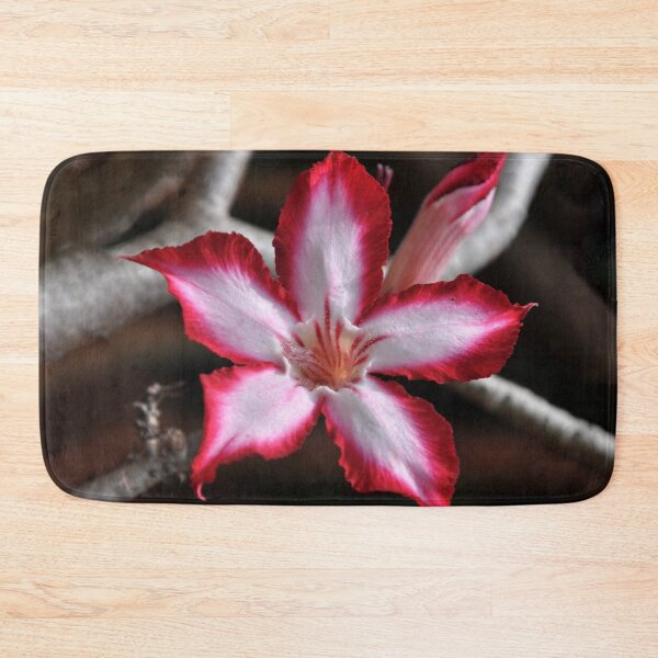 Item preview, Impala Lily Desert Rose Sabi Star South Africa  designed and sold by Schoensl.