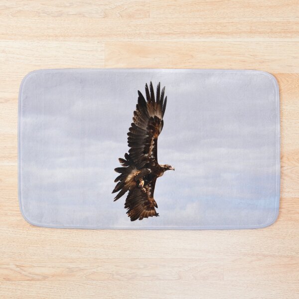 Item preview, wedge-tailed eagle or bunjil (Aquila audax) Australia designed and sold by Schoensl.