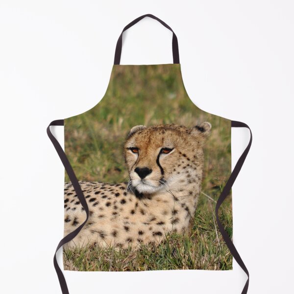 Item preview, cheetah Acinonyx jubatus portrait cat Africa designed and sold by Schoensl.