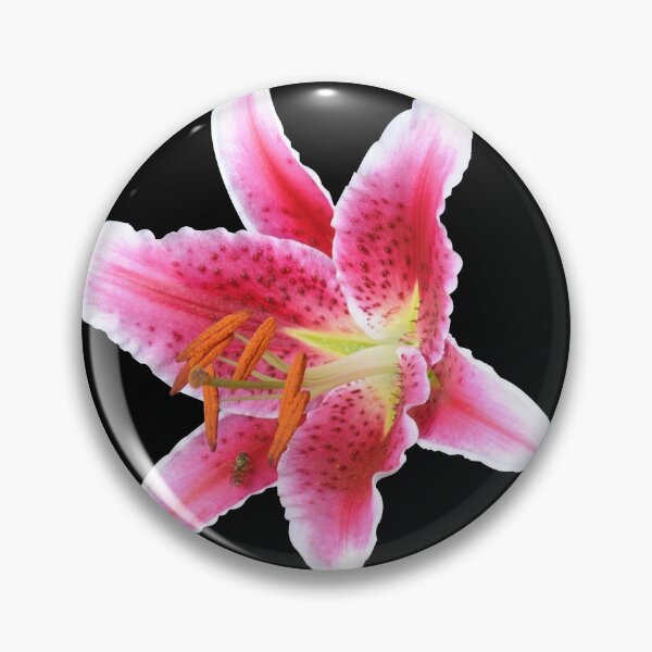 Item preview, Stargazer lily single flower with mason bee designed and sold by FunkiFunki.