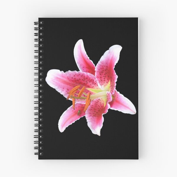 Item preview, Stargazer lily single flower with mason bee designed and sold by FunkiFunki.