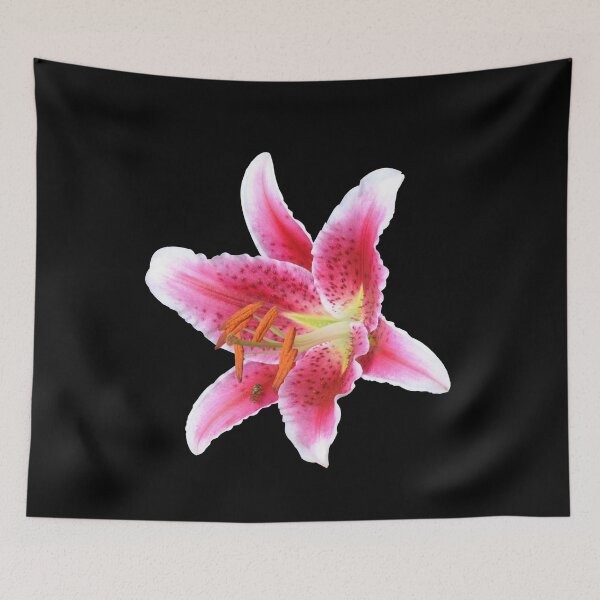 Item preview, Stargazer lily single flower with mason bee designed and sold by FunkiFunki.