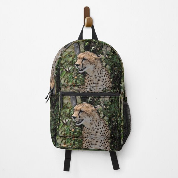 Item preview, cheetah Acinonyx jubatus cat Africa designed and sold by Schoensl.