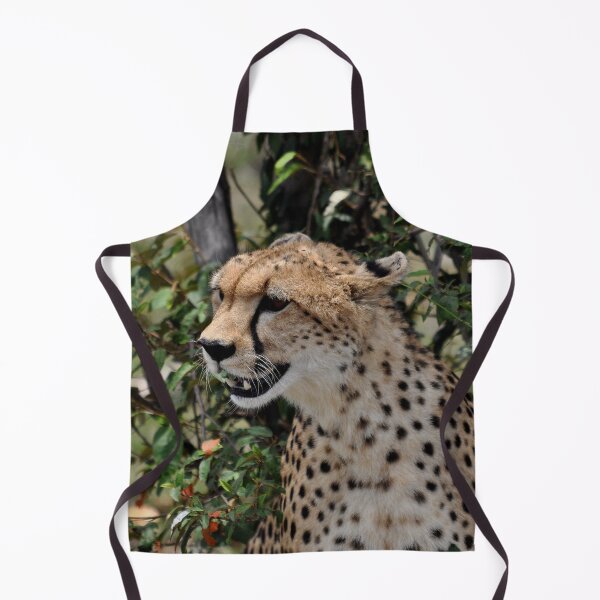 Item preview, cheetah Acinonyx jubatus cat Africa designed and sold by Schoensl.