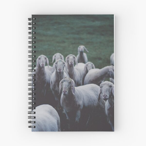 Item preview, Sheep gang landscape animal photography designed and sold by regnumsaturni.