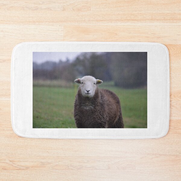 Item preview, cute smiley herdwick sheep designed and sold by ETstickerz.