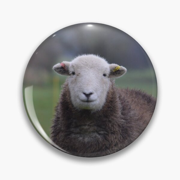 Item preview, cute smiley herdwick sheep designed and sold by ETstickerz.