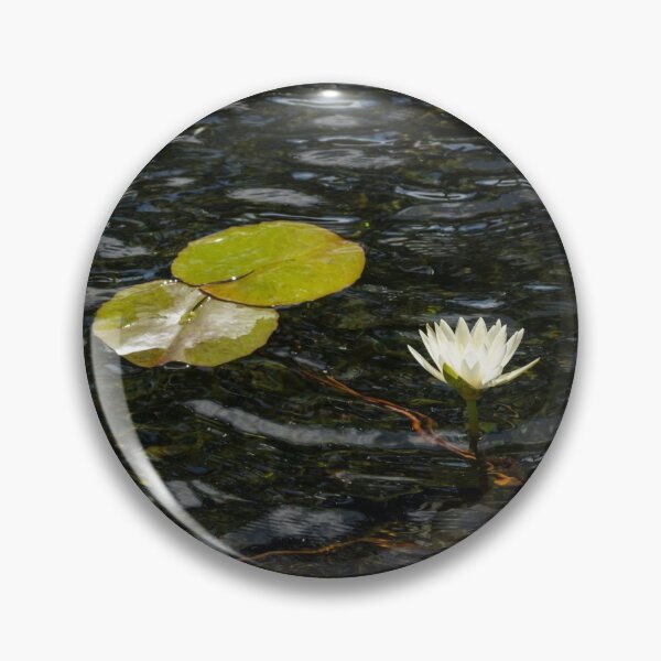 Item preview, Low Key Enigma - White Water Lily Emerging from Silky Depths designed and sold by Georgia Mizuleva.