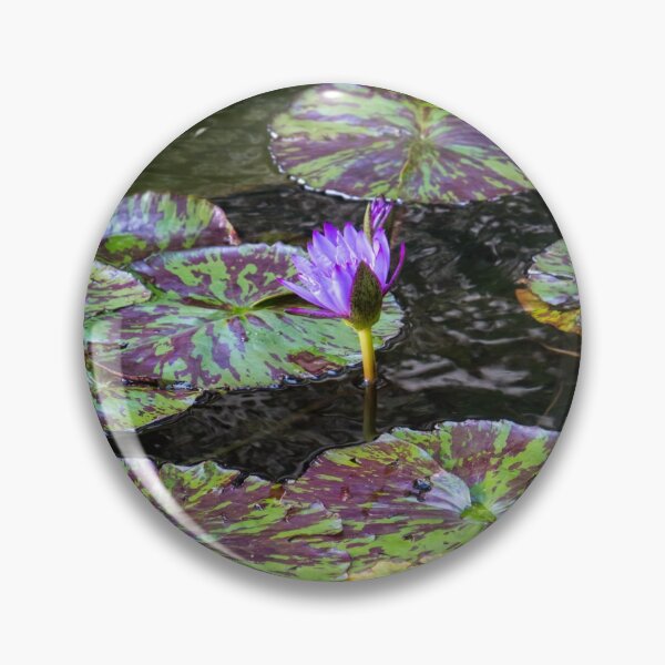 Item preview, Fantabulously Purple - a Splendid Waterlily with Varicoloured Leaves designed and sold by Georgia Mizuleva.