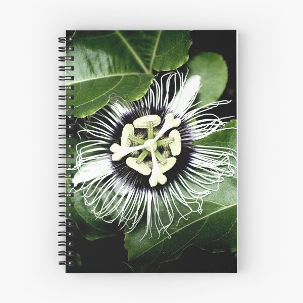 Item preview, Yellow Passion Fruit Flower 2 designed and sold by W E NIXON  PHOTOGRAPHY.