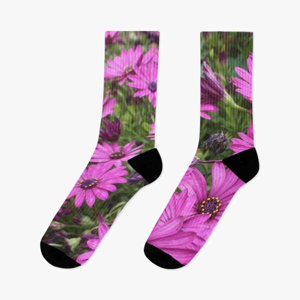 Item preview, Daisies Spring In All Their Splendor designed and sold by taiche.